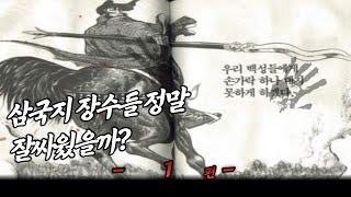 과연 삼국지 장수들의 전투 실력은 과대평가였을까? 충격적인 진실이 밝혀진다! -1-