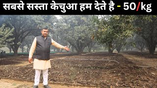 6 महीने में कामये 8 लाख  vermicompost Business से I Vermicompost