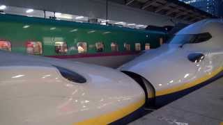 JR東日本 新幹線　東京駅 18時台の発着 Shinkansen Tokyo Station 2013