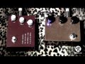 Klon KTR vs Pedalmonsters Klone pedal demo with Kingbee Tele & Mojotone Plexi