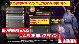 ［仁王2 nioh2］小物にキラOPを付ける為の魑魅ちゃんガチャマラソンの説明動画！まだやり方がわからない方へ