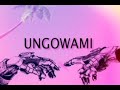 Ungowami - Mpilo rsa & Tee Jay omcane: official Audio