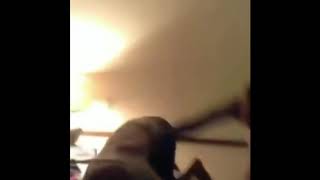 Bald slap meme compilation