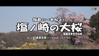 福島の桜より　Ｖｅｒ. 4Ｋ ～ 福島県本宮市　塩ノ埼の大桜 ～