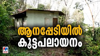 ആനയെ പേടിച്ച് നാടും വീടും വിട്ടവര്‍; കുട്ടമ്പുഴയില്‍ കൂട്ട പലായനം | Kuttampuzha people