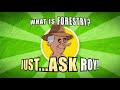 what is forestry