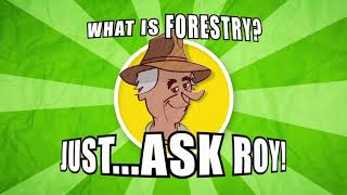 What is forestry?