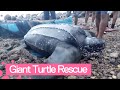 Villagers Rescue Giant Turtle Trapped In Fishing Net