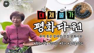 [지역명물]#1 장흥 청태전차 평화다원 청태전차만들기,청태전 마시는법,청태전 효능,청태전 가격