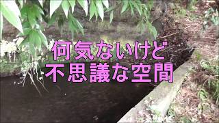 行幸田・谷地の湧水・・おさいさま/ホタル池・・渋川/群馬