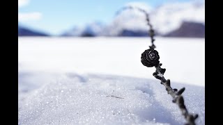 Snow-Hiking Sils Engadin (Switzerland)