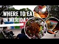 Where to eat in Merida Mexico 2024 | Best food in Merida