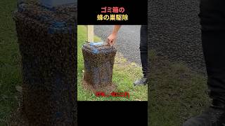 ゴミ箱の蜂の巣を駆除