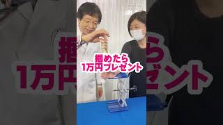 人間の反応速度でお札キャッチはできるのか？？（視覚編）/ 米村でんじろう[公式] #実験 #科学