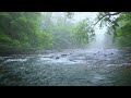 green forest river flowing in rainy weather. nature sounds forest river white noise for sleeping.