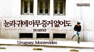 눈과 귀에 아무 증거 없어도(feat.유효림) Official _ 일천번제 정성원 en Montevideo, 우루과이