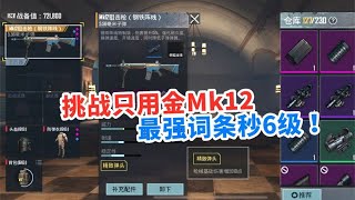 地铁逃生：挑战只用金Mk12，附加最强词条，秒6级如砍瓜切菜！【九尾游戏】