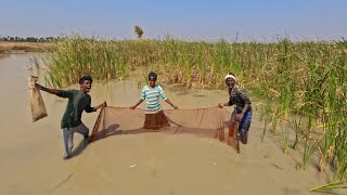 கண்மாய் கச்சை மீன் வேட்டை 🐟 | lake pond fishing - Venu Adventures