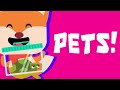 Do You Have A Pet? ♫| Animal Song | Wormhole Learning - Songs For Kids