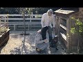 Jo, Chip, and Crew Go Egg Picking - Clip | Magnolia Table with Joanna Gaines | Magnolia Network