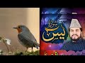 Surah Yaseen | voice Qari saqaqat Ali | quran recitation ❤️ |#surahyasin @Allah_said
