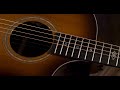 breedlove premier series redwood east indian rosewood