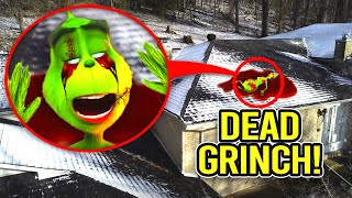 IF YOU SEE DEAD GRINCH ON CHRISTMAS DAY, RUN!! (HE STOLE CHRISTMAS)