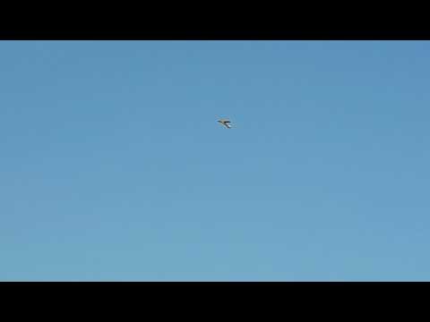 RC airplane pdf 34 RC airplane pdf 34