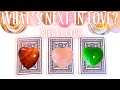 💖WHAT'S COMING NEXT IN LOVE?❤️💋✨Extended Reading ✨WHAT MONTH WILL YOU MEET?WHERE? HOW?✨