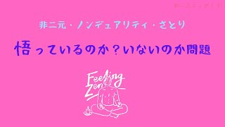 31【 非二元ノンデュアリティ悟り】探究あるある…覚醒体験、一瞥体験、悟っているのか？いないのか？