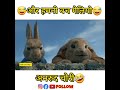 Peter Rabbit | Sab LOol Hai |