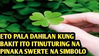 BAKIT NGA BA ITINURING NA PINAKA SWERTE ANG FOUR LEAF CLOVER ,Alamin