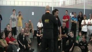Stephen K. Hayes - To Shin Do Ninjutsu Workshop / Seminar Clip