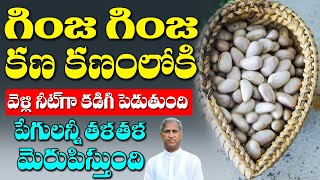 Intestines Cleans | గింజ గింజ పేగు కణాల్లోకి వెళ్లి మరి క్లీన్ | Dr Manthena Satyanarayana Raju