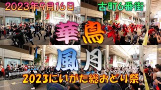 【参加者視点】 響'連2015-2018 ｢華鳥風月｣合同演舞～2023にいがた総おどり祭 9月16日 古町6番町会場 【演舞動画】