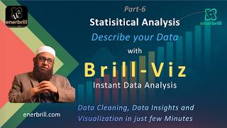 Statistical analysis to describe your data instantly; No code, No formula, No prompt