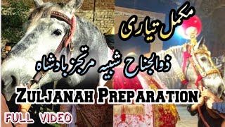 Zuljanah Shabih Murtajiz Badshah Full Preperation | Zuljanah Ki Tiyari | Beautiful Zuljanah