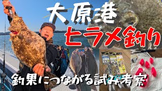 大原のヒラメ2024 #ヒラメ #大原港 #臼井丸 #いわし泳がせ #海釣り #fishing #funny #魚