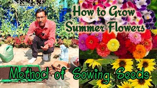 Which flower plants you may Grow in the Summer Season. How to sow the seeds