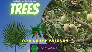 OUR LEAFY FRIENDS | TREES