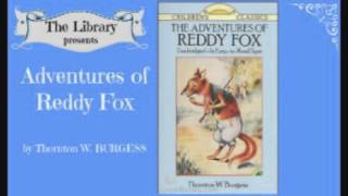 The Adventures of Reddy Fox by Thomas W. Burgess - Audiobook