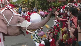 疫後首次！泰國「耶誕象」前進國小送禮物　還與學童合照超暖心－民視新聞