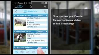 Horsecount App - Studboard mobile