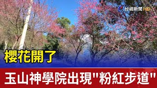 櫻花開了 花蓮玉山神學院出現\