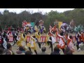 「心纏い」②　浜よさ　がんこ祭2016