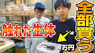 ｢店内紹介してください｣と伝えてスタッフが触れた生体全部買ったら過去最高額余裕で越えた