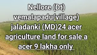 కావలి ఆంధ్ర ప్రదేశ్ నెల్లూరు (డిటి)వేమలపాడులో వ్యవసాయ భూమి అమ్మకానికి ఉంది#బాలు బ్యూలా రియల్ ఎస్టేటా