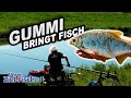 FISCH auf SPUR BRINGEN - STIPPEN in der STRÖMUNG - Angelschule mit JÖRG OVENS - Unser Ziel ist Fisch