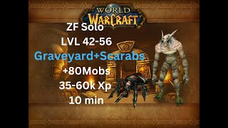 Zul'Farrak (ZF) With Mage LVL +42  +90mobs(+50k) 1Pull  Scrabs&Zombies (+Gnome Can)