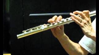 Gemeinhardt KG Special Flute (Used) -  Response Demo